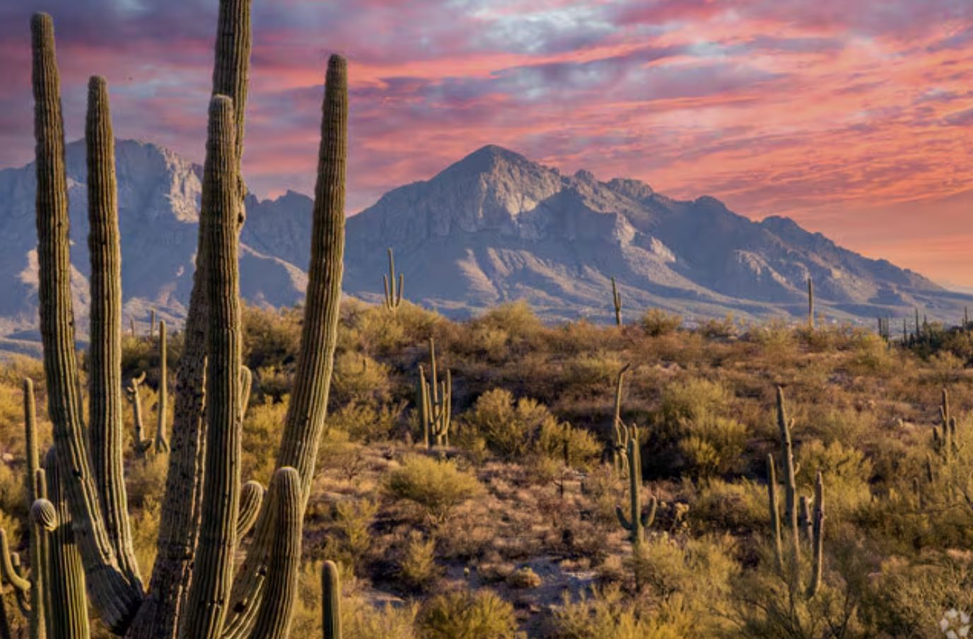 Homes for Sale in Oro Valley Arizona | Tom Lois